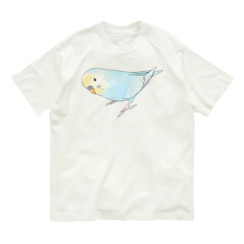 レインボーなセキセイインコちゃん【まめるりはことり】 オーガニックコットンTシャツ