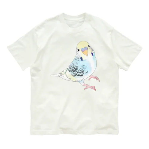 見つめる七色セキセイインコちゃん【まめるりはことり】 オーガニックコットンTシャツ