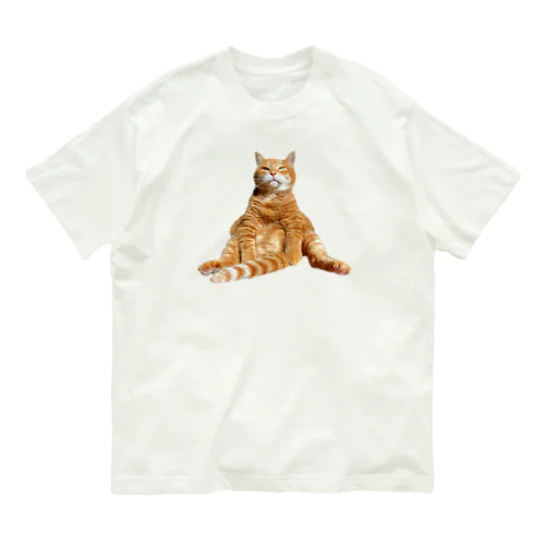 Shimashima Mountain Organic Cotton T-Shirt