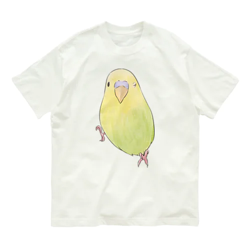 ウィンクするセキセイインコちゃん【まめるりはことり】 Organic Cotton T-Shirt