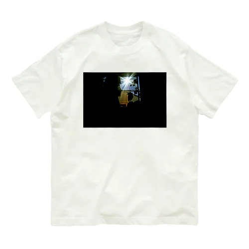 Moon shower Organic Cotton T-Shirt