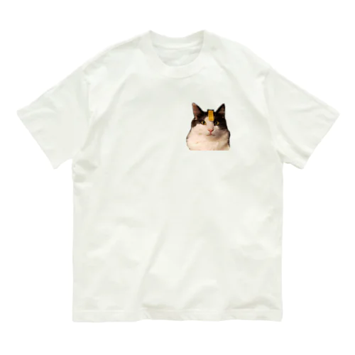 シャトーブリアン猫 オーガニックコットンTシャツ