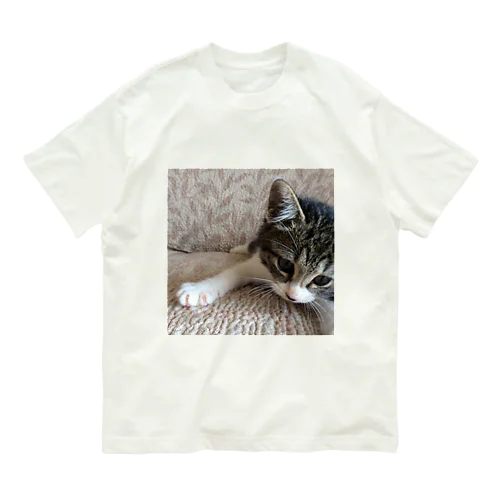 こねこのパル～南の島のにゃんこ～ Organic Cotton T-Shirt