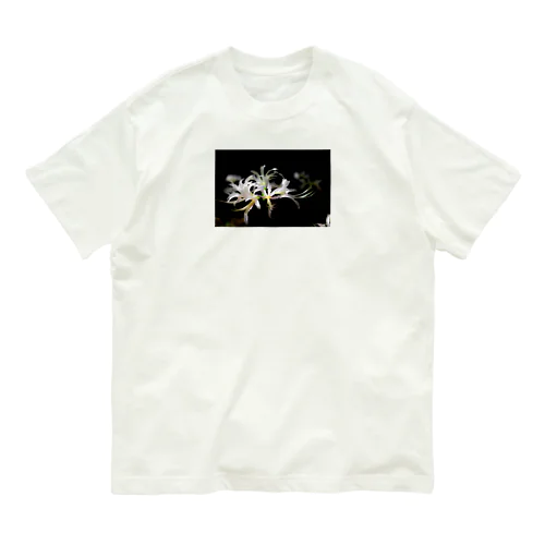 彼岸花(白) オーガニックコットンTシャツ