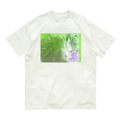 chinaberry オーガニックコットンTシャツ