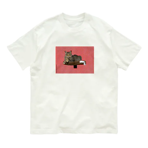 fukupi gingam オーガニックコットンTシャツ