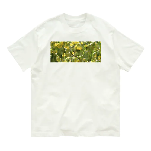 雨上がりの菜の花 オーガニックコットンTシャツ