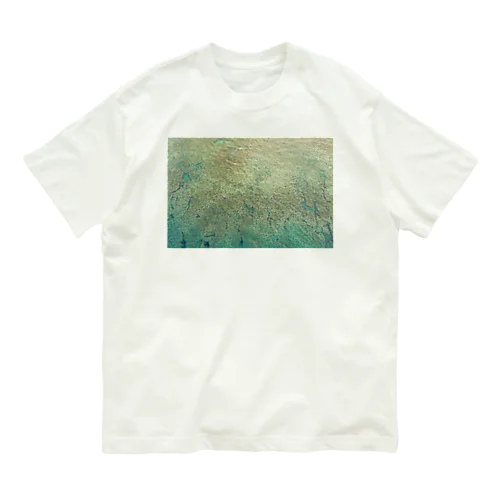 coyote brand Drone shot T-shirts オーガニックコットンTシャツ