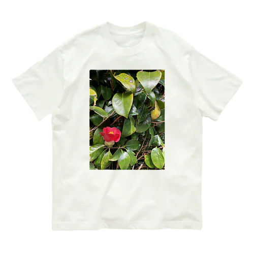 神社の花 Organic Cotton T-Shirt