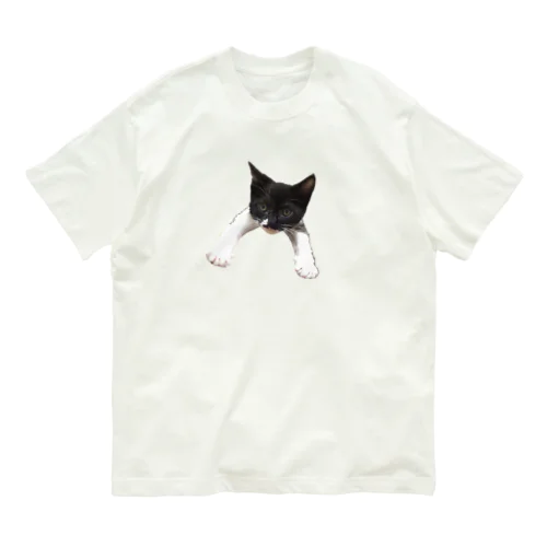 アンちゃん オーガニックコットンTシャツ