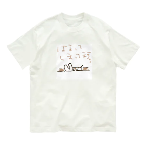 はまってしまってます。。 オーガニックコットンTシャツ