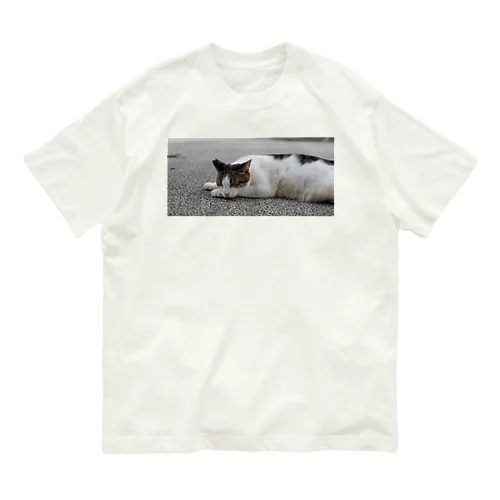 ねこ オーガニックコットンTシャツ