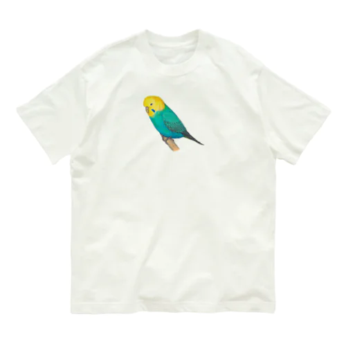 [森図鑑]セキセイインコレインボー オーガニックコットンTシャツ