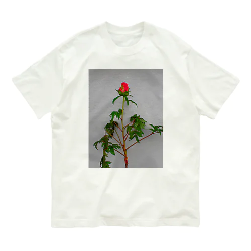 Flower01 peony オーガニックコットンTシャツ