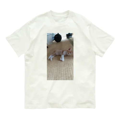 横たわりCATS オーガニックコットンTシャツ