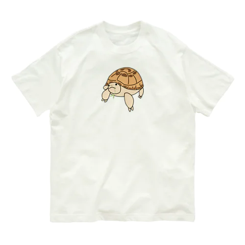 葉っぱをくわえた🐢リクガメの福丸 オーガニックコットンTシャツ