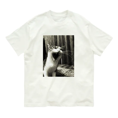 あんちゃん Organic Cotton T-Shirt