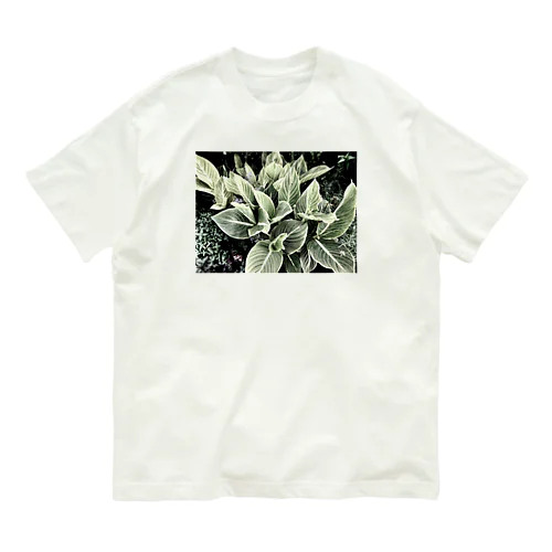 モダングリーン Organic Cotton T-Shirt