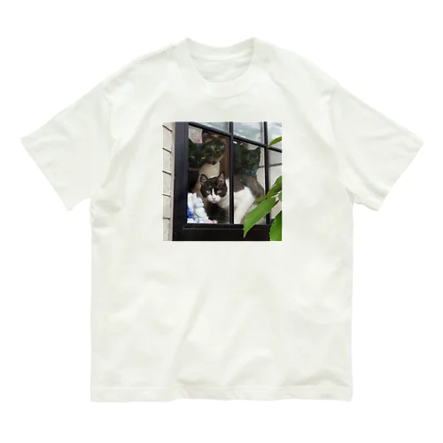 猫家族 オーガニックコットンTシャツ