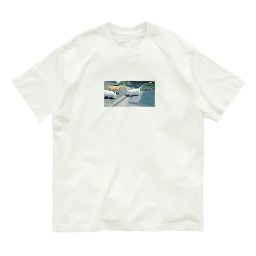 猫3匹 Organic Cotton T-Shirt