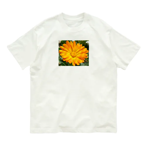 キンセンカ Organic Cotton T-Shirt