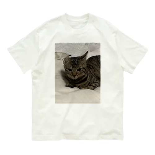 ねむぽんこ Organic Cotton T-Shirt