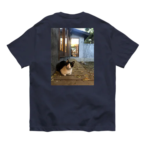 居酒屋の野良猫 オーガニックコットンTシャツ