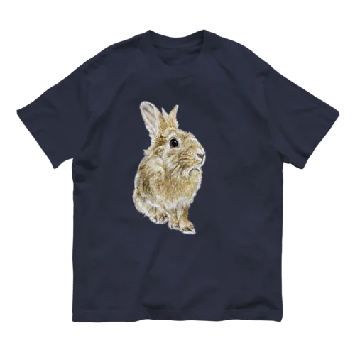 きりっ（ぽんちゃん）影なし オーガニックコットンTシャツ