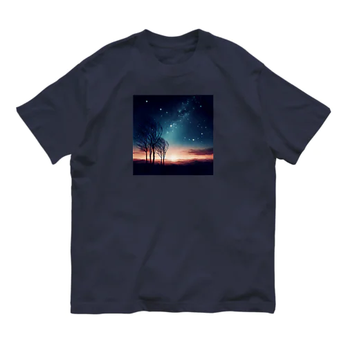幻想的な夜空🌌 Organic Cotton T-Shirt