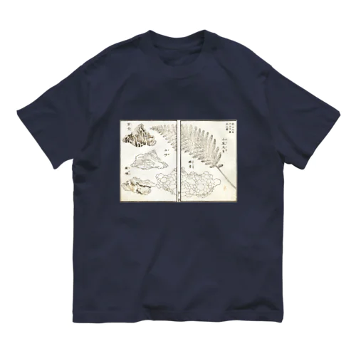 銀山所出石品及魚草之圖 オーガニックコットンTシャツ