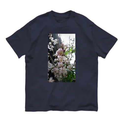 SAKURA オーガニックコットンTシャツ