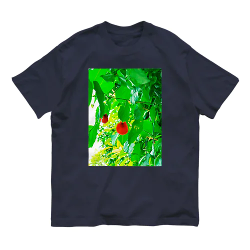 パライソ🌿 オーガニックコットンTシャツ