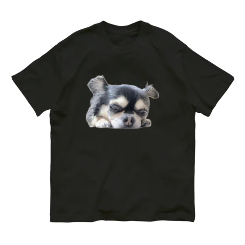 可愛いチワワ＊犬＊わんこ＊動物 Organic Cotton T-Shirt