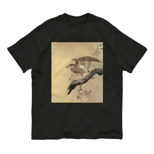 小原古邨　鷹　Ohara Koson / Falcon オーガニックコットンTシャツ