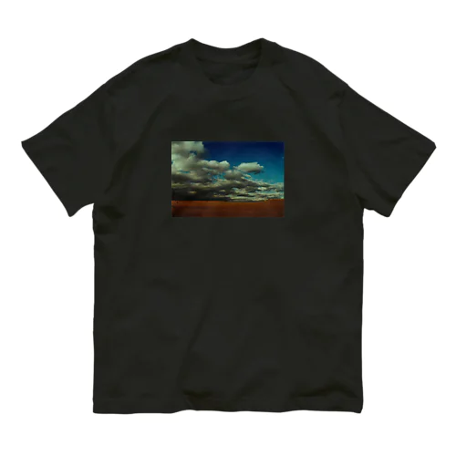 sand dunes_sand color オーガニックコットンTシャツ