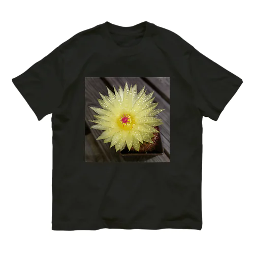 サボテンの花 オーガニックコットンTシャツ