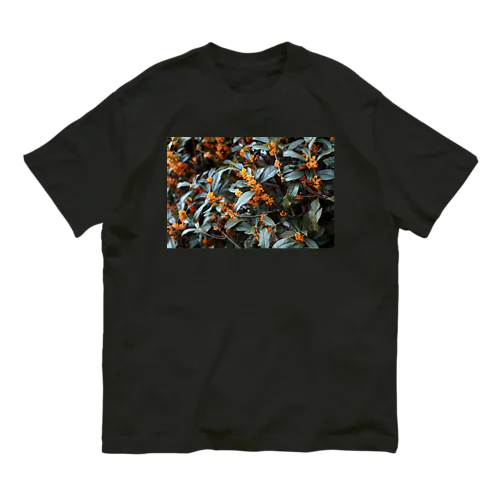 秋霖 Organic Cotton T-Shirt