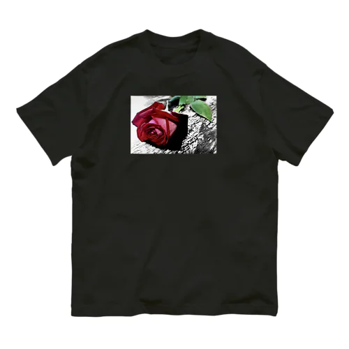 過去の薔薇 オーガニックコットンTシャツ