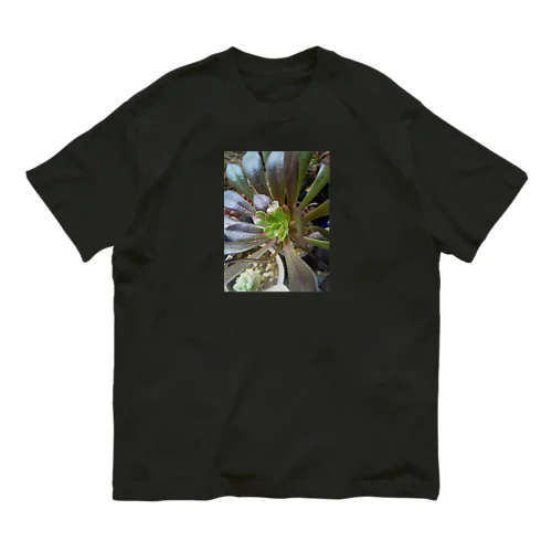 多肉植物の黒法師 Organic Cotton T-Shirt