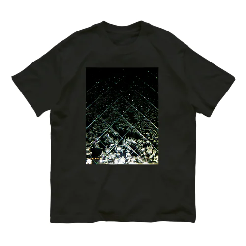 201001161933000　夜の氷紋 オーガニックコットンTシャツ