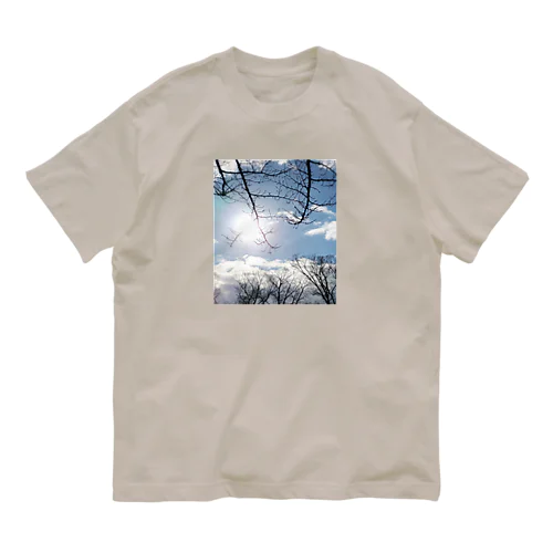 Largo Organic Cotton T-Shirt