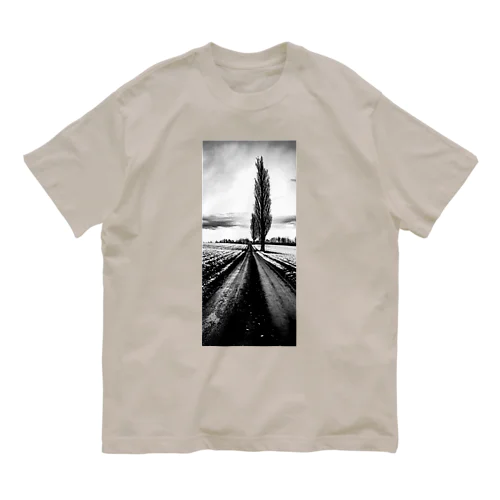 Scenery of Hokkaido, Japan, early winter Organic Cotton T-Shirt