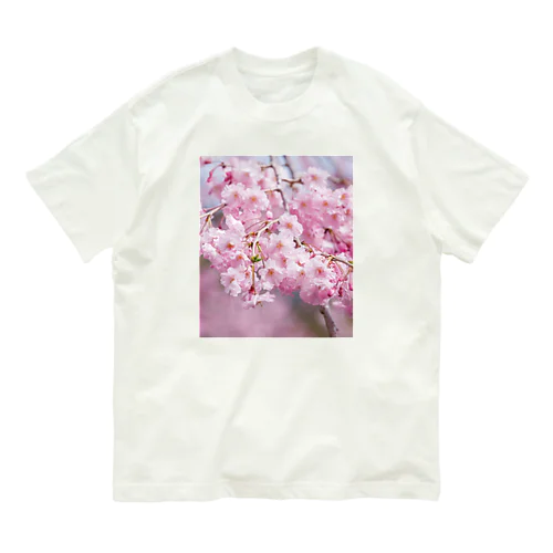 癒しの風景（八重桜） オーガニックコットンTシャツ