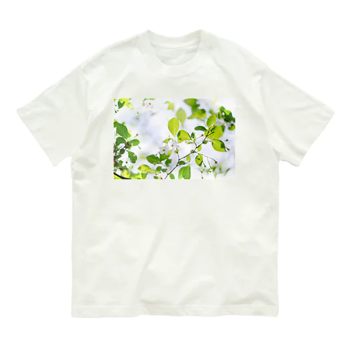 癒しの風景（エゴノキ） Organic Cotton T-Shirt