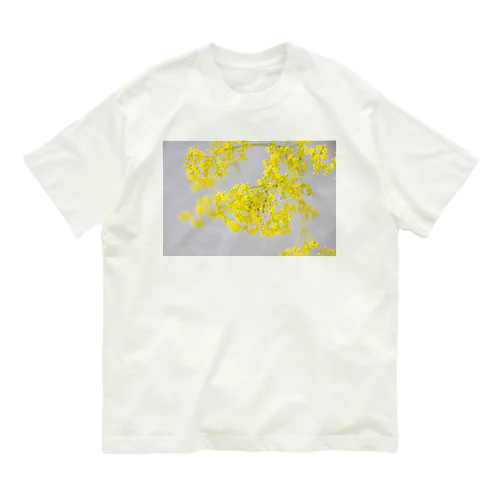 癒しの風景（オミナエシ） オーガニックコットンTシャツ