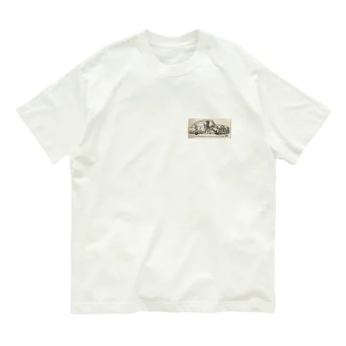 かー オーガニックコットンTシャツ