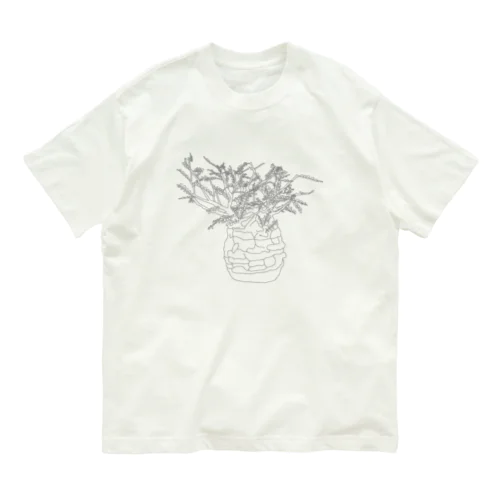 オペルクリカリア パキプス / 塊根植物 オーガニックコットンTシャツ