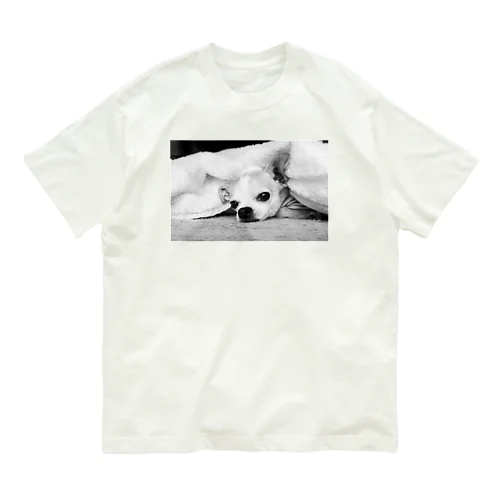 モノクロチワワ（アンニュイ1） Organic Cotton T-Shirt