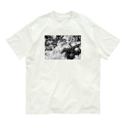 モノクロフラワー（キク） Organic Cotton T-Shirt