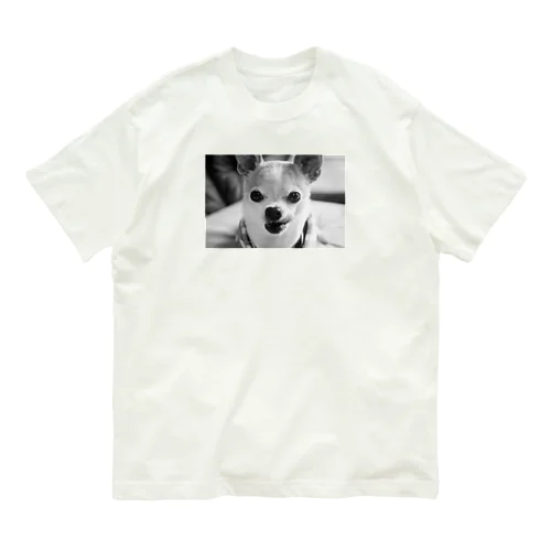 モノクロチワワ（ぺろんちょ） Organic Cotton T-Shirt